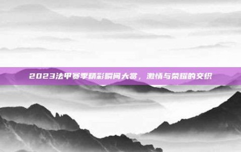 2023法甲赛季精彩瞬间大赏，激情与荣耀的交织