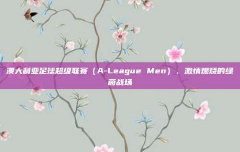 澳大利亚足球超级联赛（A-League Men），激情燃烧的绿茵战场