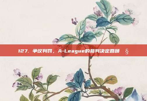 127. 争议判罚，A-League的裁判决定回顾🧐