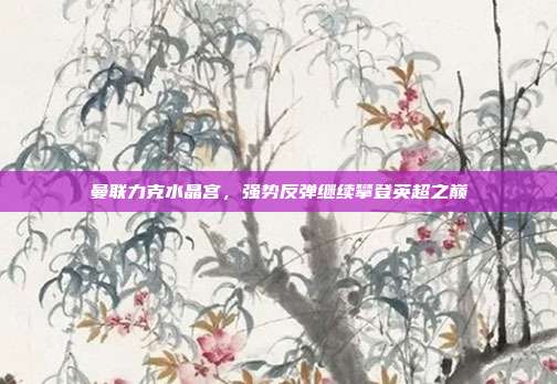 曼联力克水晶宫，强势反弹继续攀登英超之巅