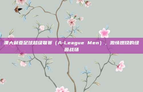 澳大利亚足球超级联赛（A-League Men），激情燃烧的绿茵战场