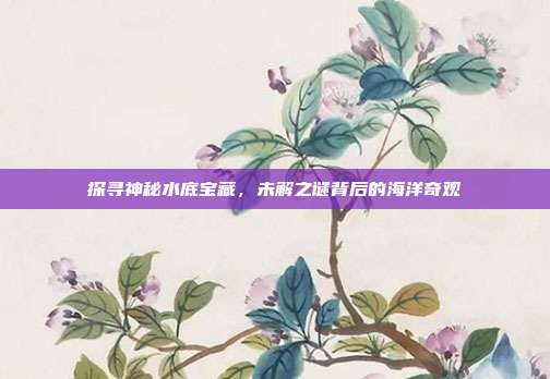 探寻神秘水底宝藏，未解之谜背后的海洋奇观