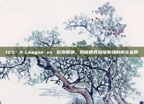 125. A-League vs. 欧洲联赛，揭秘世界足球赛场的南北差异