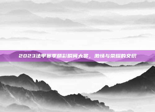 2023法甲赛季精彩瞬间大赏，激情与荣耀的交织