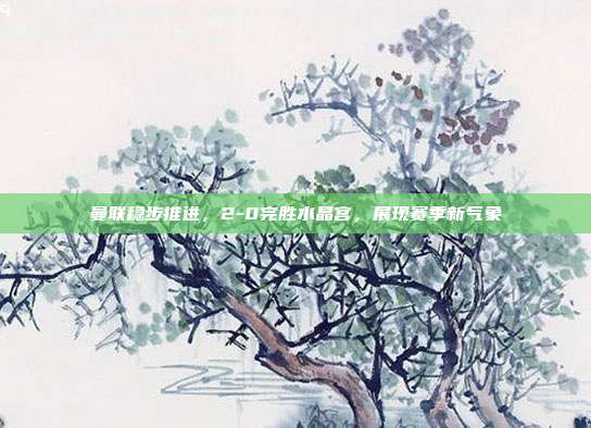 曼联稳步推进，2-0完胜水晶宫，展现赛季新气象