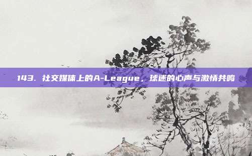 143. 社交媒体上的A-League，球迷的心声与激情共鸣