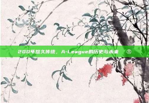 200年悠久传统，A-League的历史与未来🔮