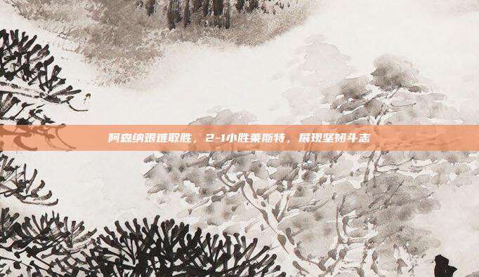 阿森纳艰难取胜，2-1小胜莱斯特，展现坚韧斗志